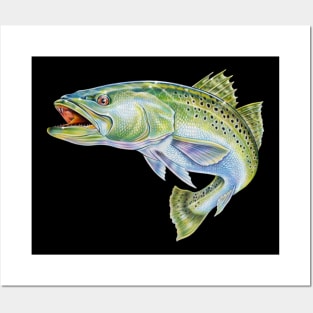 Speckled Trout Posters and Art